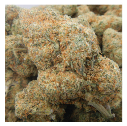 Plutonium (CBD)