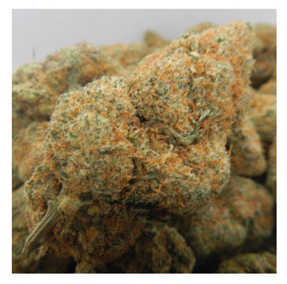 Plutonium (CBD)
